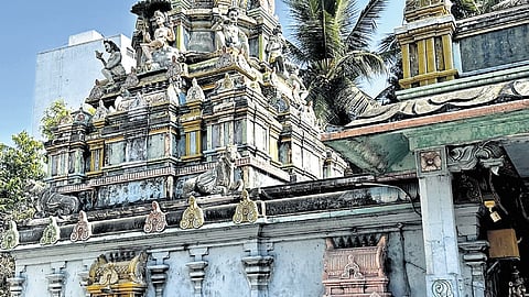 Photo: Chithra Madhavan