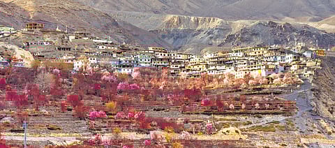 A slice of streets in snapshots