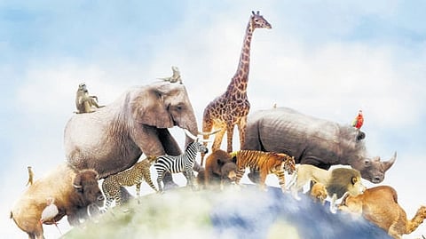 Living life with purpose