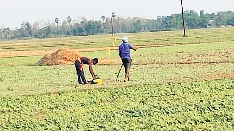 Farmers demolishing the boundary markers at Biridi in Jagatsinghpur 