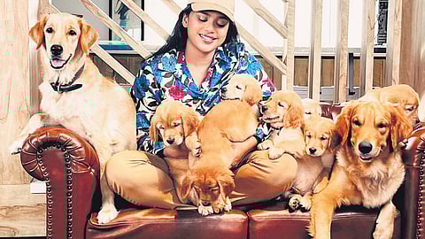  The cafe also welcomes people to bring their pets