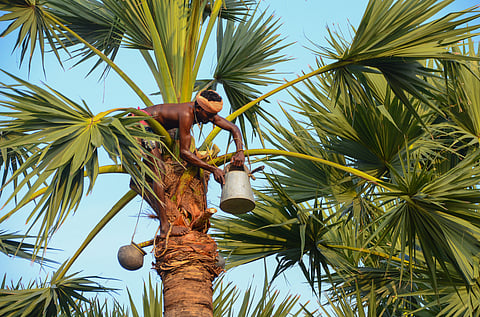 Pathaneer sale remains a common sight along the roads across Tamil Nadu, particularly during the summers.