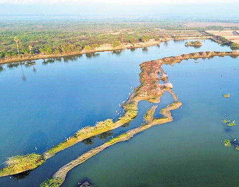 Drone shot of wetlands outside the Pulicat bird sanctuary that attract a significant number of birds 