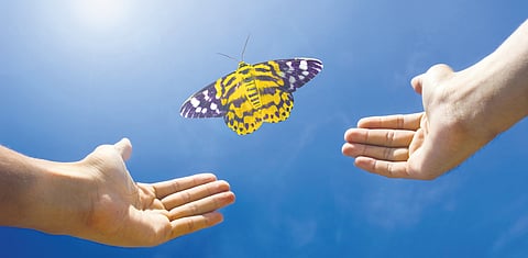 Understanding Karma: The universal law of action and its path to spiritual liberation