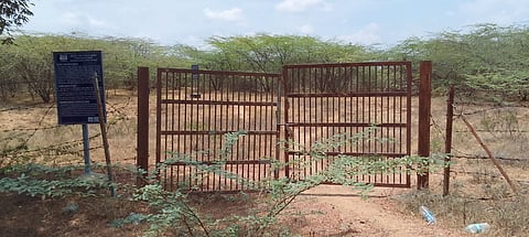 The megalithic site in Karai village, Perambalu