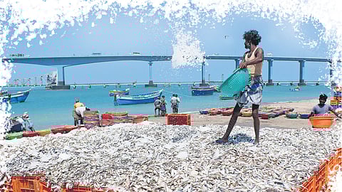 Riveting Ramnad race