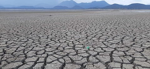 Tamil Nadu: Dharmapuri farmers on the edge as water level in dams dips