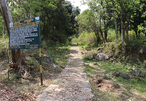To reach Top Station, farmers are now forced to travel a distance of 77 km via Poombarai and Munnar in Kerala, a journey spanning at least two hours.
