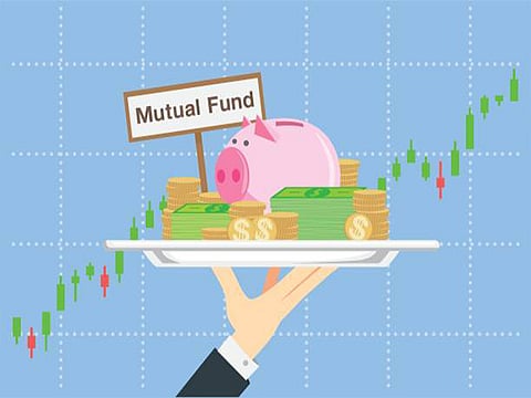 Mid-and small-cap mutual funds attract Rs 30,350 crore in H1 FY25 on strong returns 
