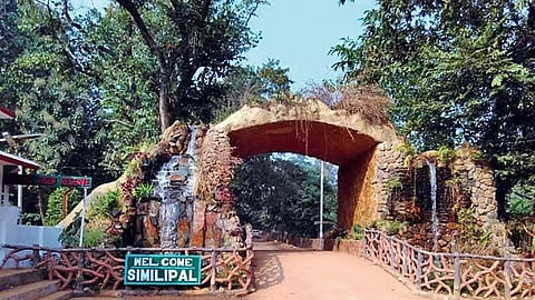 Odisha government declares Similipal as 107th National Park; WII lists it as 106th 