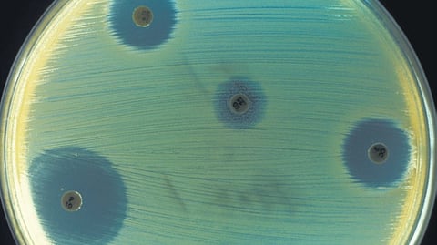 A representative image of a
new-age antibiotic