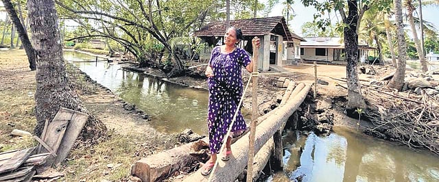 Vilasini Surendran, one of the actors and Puthenvelikkara resident, makes her way across a small stream