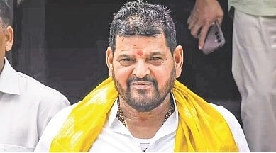 Brij Bhushan Sharan Singh