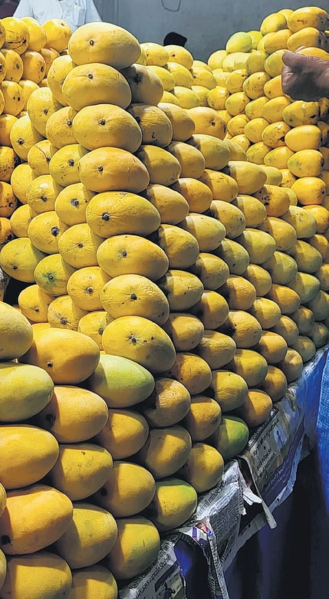 Image used for representational purposes only