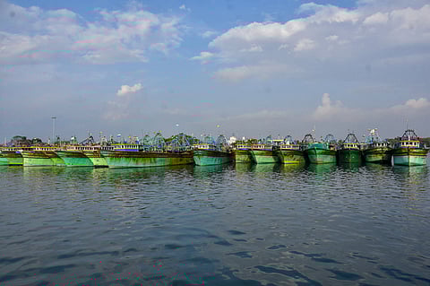 Mechanised fishing boats anchored at Thoothukudi Fishing Harbour. (Representative Image)