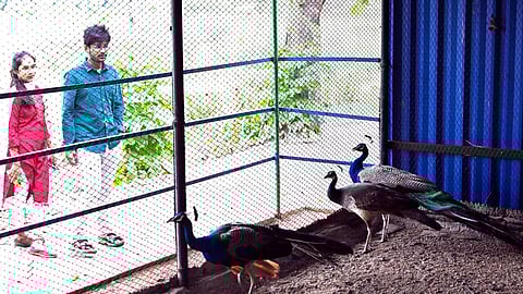 Visitors at Karimnagar Deer Park