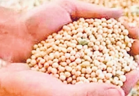 Telangana: Seed shortage takes political turn