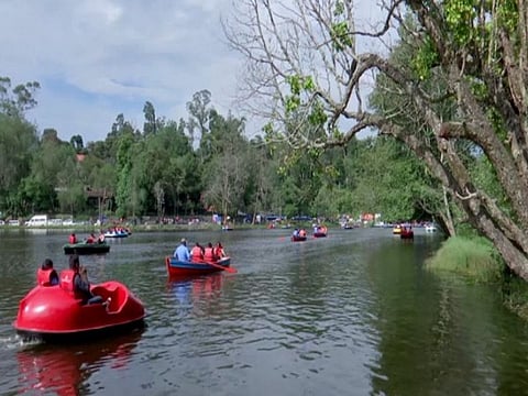 Tourist numbers have fallen after e-pass system implemented in Kodaikanal, say local traders