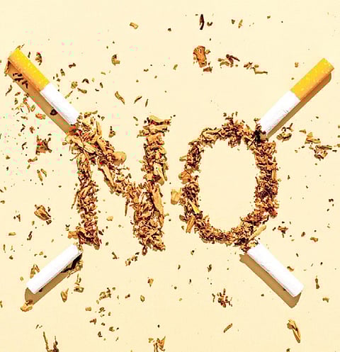 Image used for representation