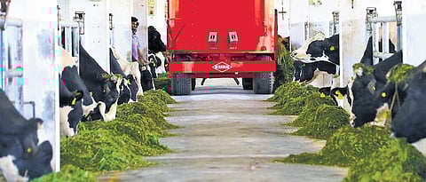 Fourteen indigenous breeds are maintained at the station.