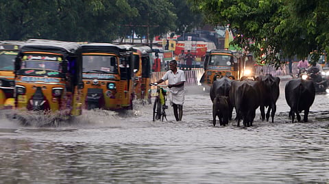 Heavy rains lashes areas near Kamarajar Salai in Madurai.
