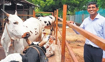 Transforming Hyderabad's dairy map