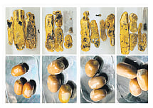 The gold was recovered in the form of 12 capsules concealed in the rectum of the passengers.