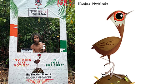 The illustration of the Nicobar Megapode, a bird endemic to the archipelago, adorns the EC banners front and centre.