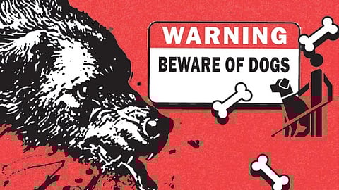 The catastrophic canine crisis