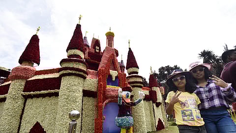 IN PICS | Ooty Flower Show 2024: High ticket rates a matter of concern?