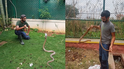 Yatin is a well known wildlife-biologist, who has worked with the renowned American-born Indian conservationist, Romulus Whitaker, also known as the ‘snakeman of India’.