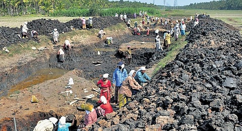 As many as 3,18,804 job cards have been issued, 2,52,008 active job cards are present in the district.