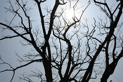 Image used for representational purposes only