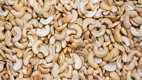 The cashew processing industry in Palasa is heavily dependent on imported raw cashew nuts (RCN) mainly from African countries including Ghana, Ivory Coast, Benin, Tanzania and Indonesia.