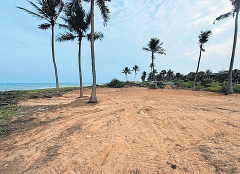 CMDA refuted the allegations of the petitioner and said no dune was destroyed at Injambakkam 