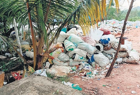 Garbage collected kept for pick up