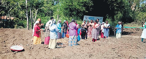Women farmers gather on their field in the tribal hamlet of Irumbupalam in Wayanad