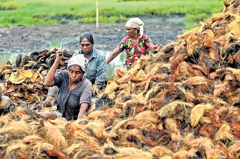 Every day, thousands of women engage in the labour-intensive process of converting coconut husks into coir fibres