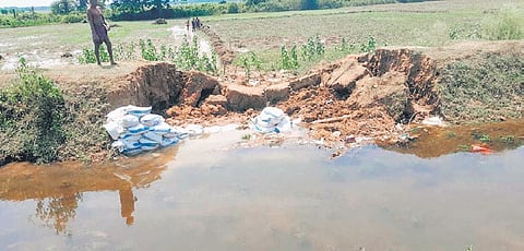 The breach in canal embankment at Endar village