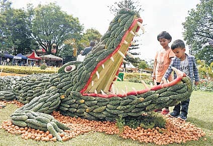 The tickets for the flower festival are available online on the TN Horticulture Department website or at the ticket counter.