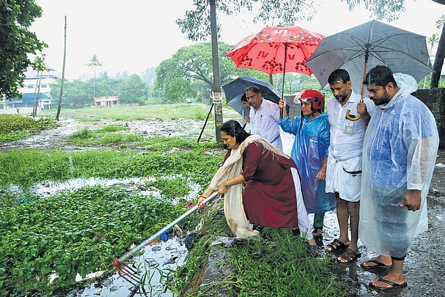 Opposition councillors removing weeds near the canal at Karanakodam bridge in protest against the failure of pre-monsoon clean-up by the corporation 