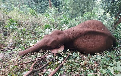 Image used for representational purposes only.