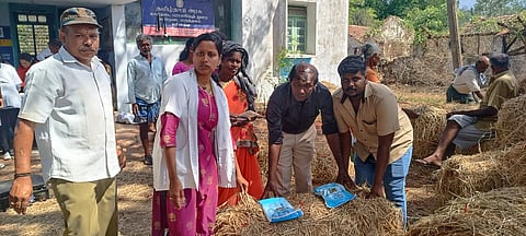 Animal husbandry officials distributing Green fodder and dry fodder to the cattle owners at Masinagudi on Monday.