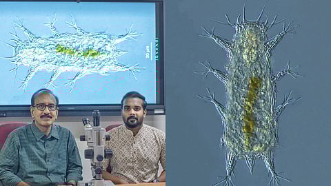 (L-R) Senior Prof Dr S Bijoy Nandan, Department of Marine Biology (left) and  Vishnudattan N.K, research scholar, Batillipes Chandrayaani. 