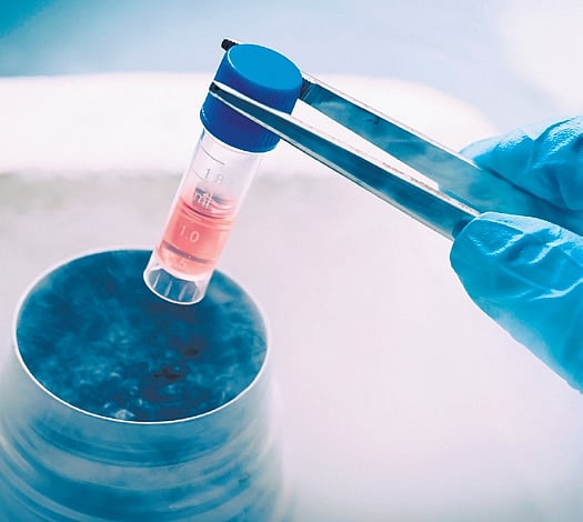 India Egg Donation Racket: IVF Scam & Women Exploited in Maharashtra