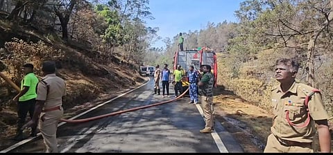 Notably, fire incidents have been reported near Mannavanur, Kookal, Poondi and Poombarai villages in Kodaikanal. 