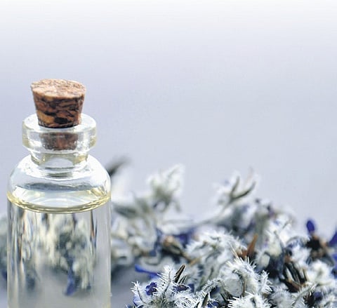 Image used for representation