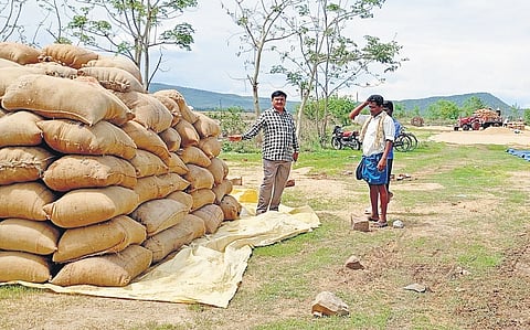 Image of rice procurement used for representative purpose.