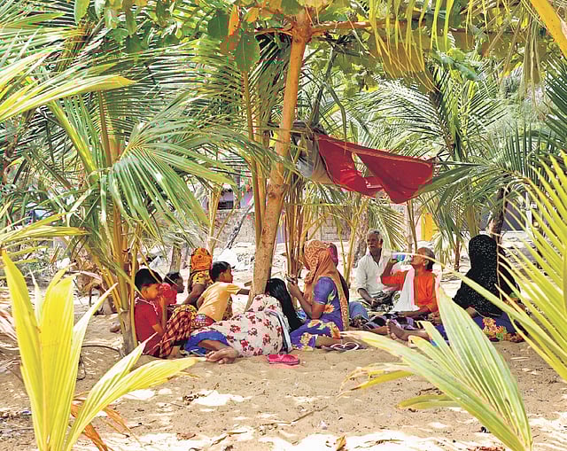 A majority of those belonging to the fishing community in Perumathura in Thiruvananthapuram are spending their time under the shade of coconut palms. The reason being the roofs of their homes are made of asbestos and tin sheets, which increase the heat 