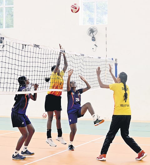 Volleyball players during their training